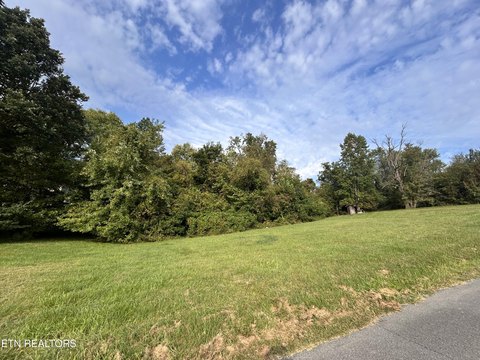Unrestricted Lot Near Holston River