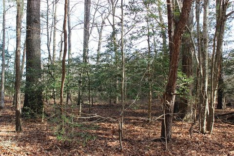 Residential Lot in Captains Cove