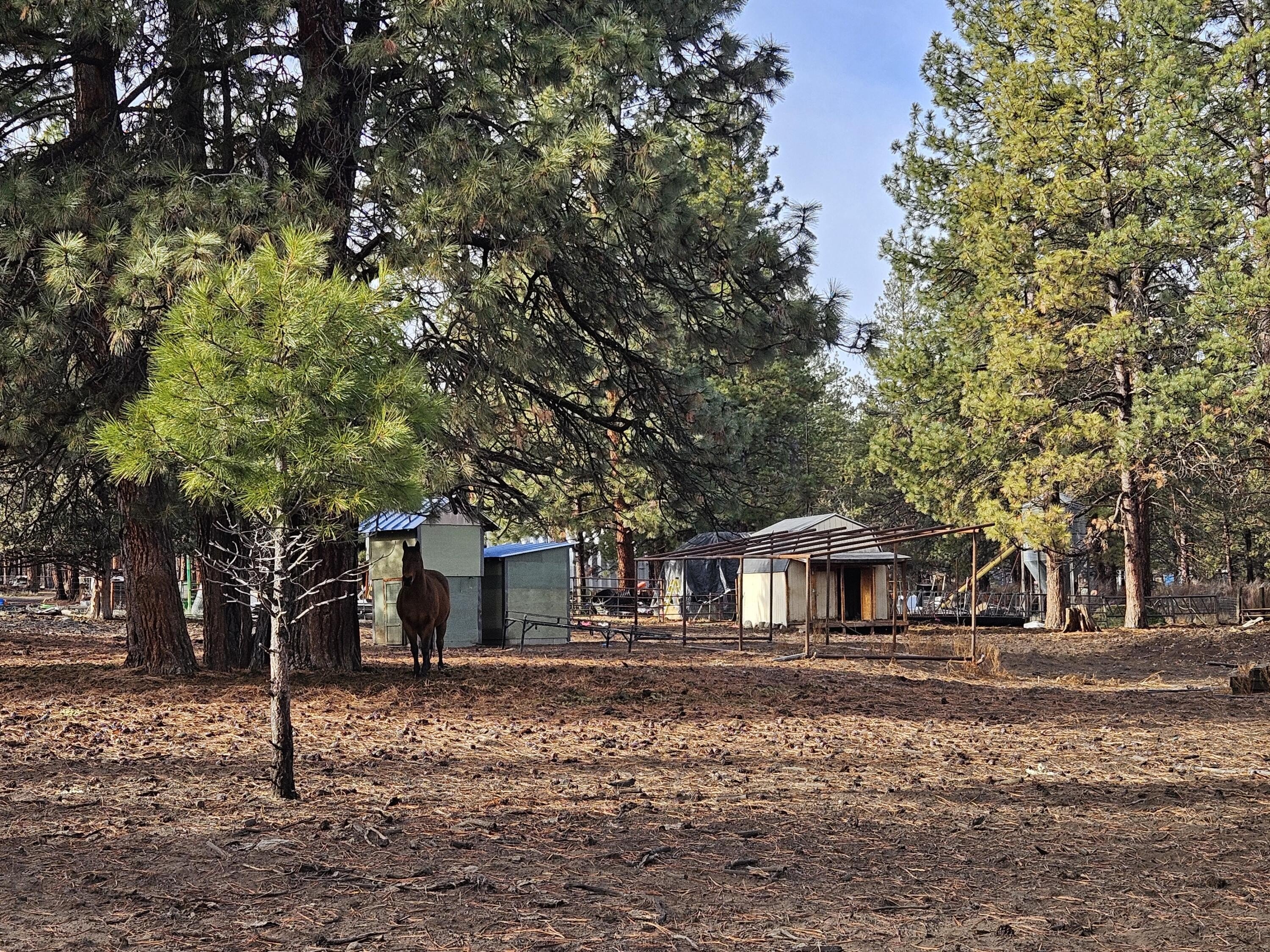 Bonanza Land with Horse Fencing