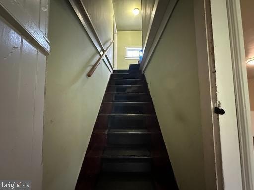 Picture 41