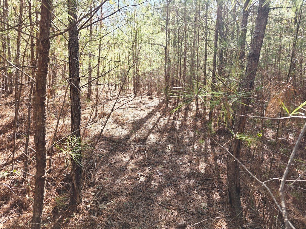 Picture 16