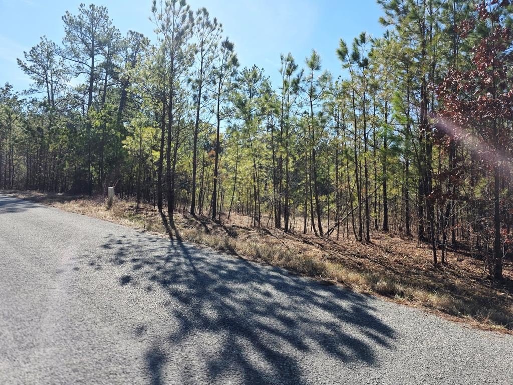 5-Acre Wooded Tract in Camden