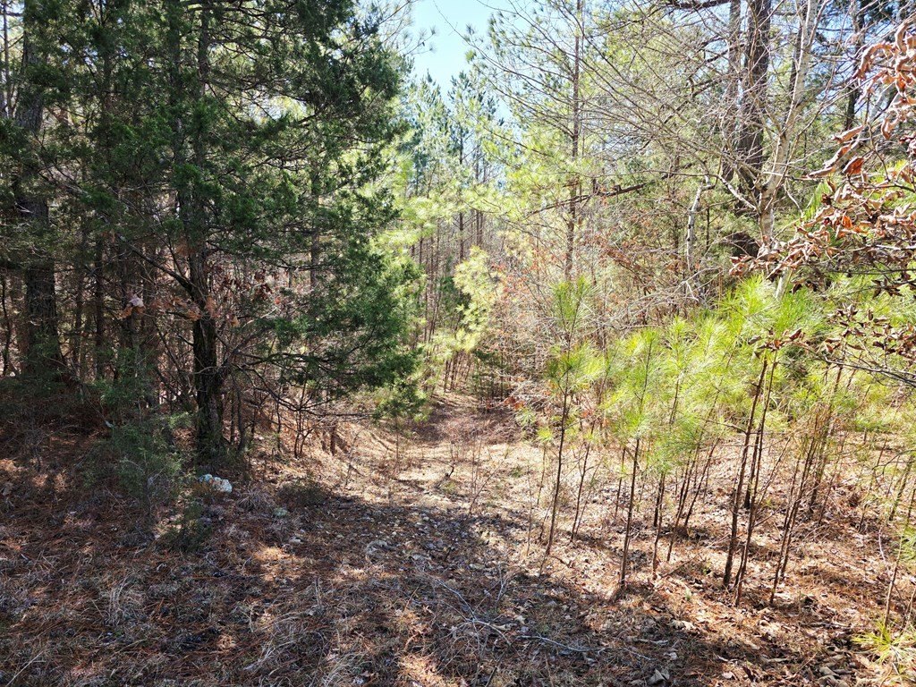 Picture 10