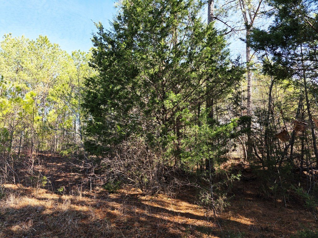 Picture 11
