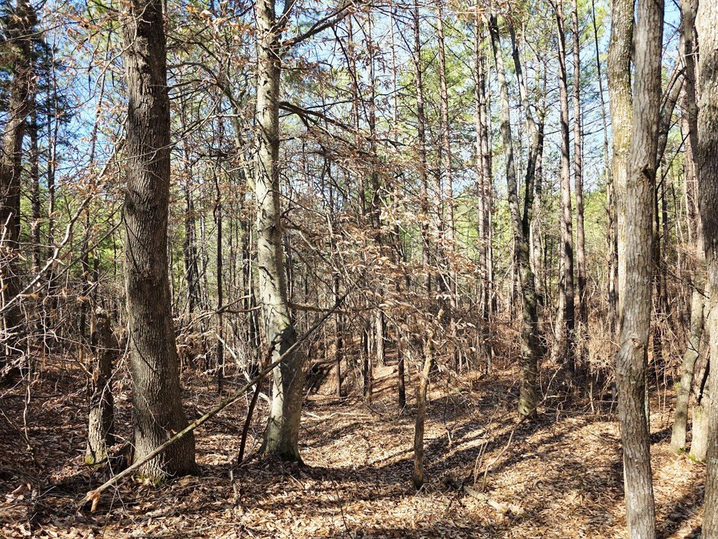Picture 14