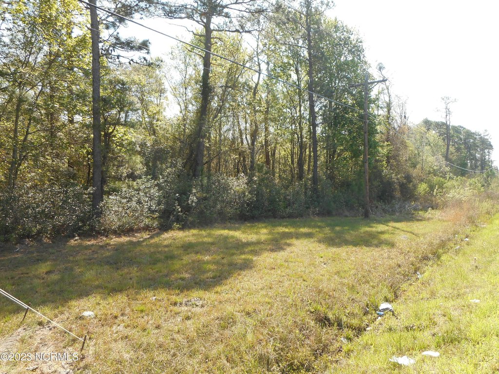 Picture 6