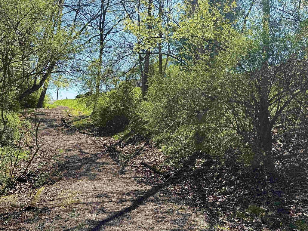 Picture 8