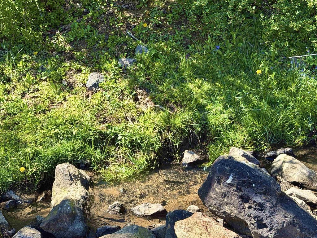 Picture 11