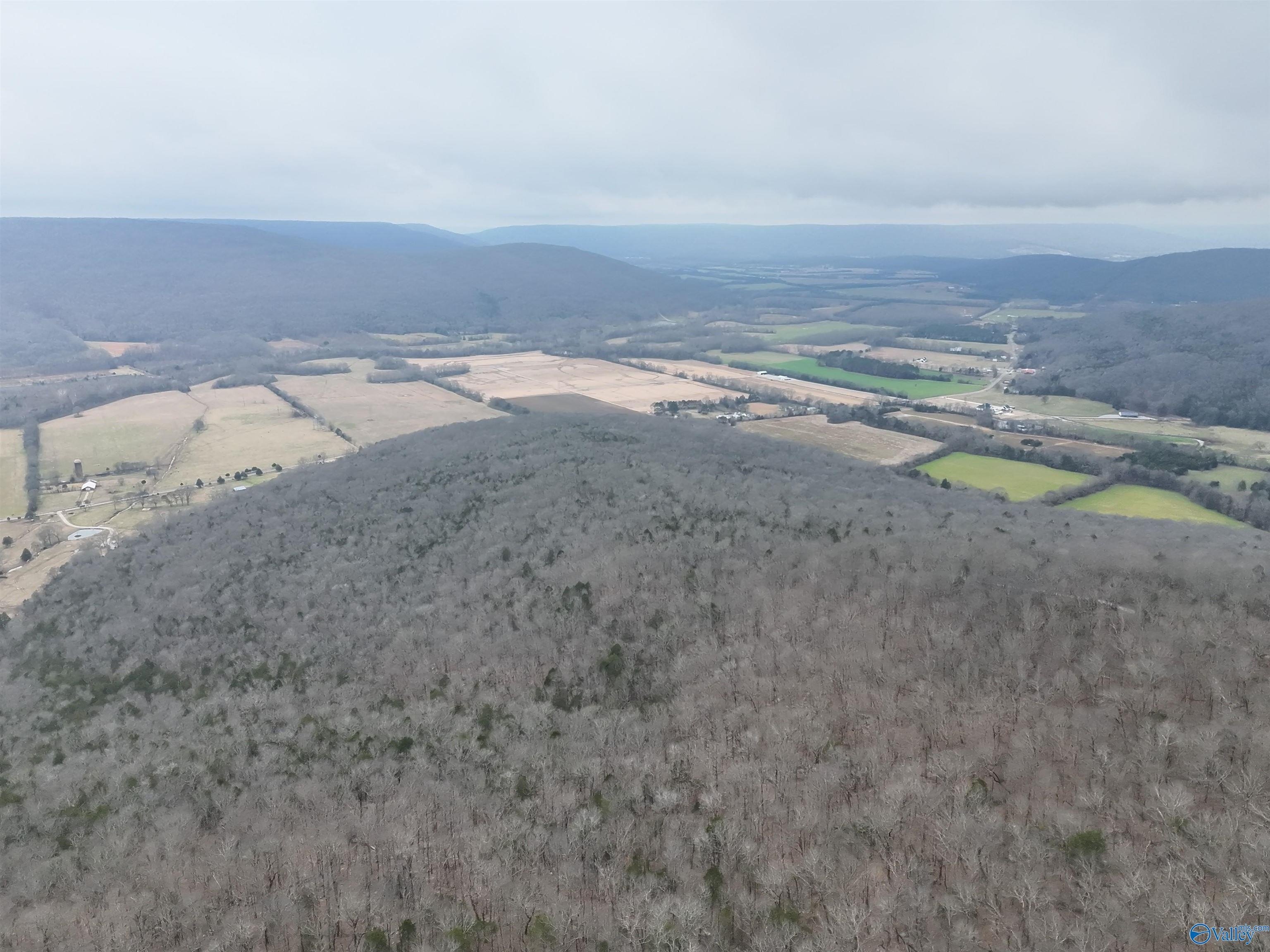 264 Acres Hunting Land, Alabama