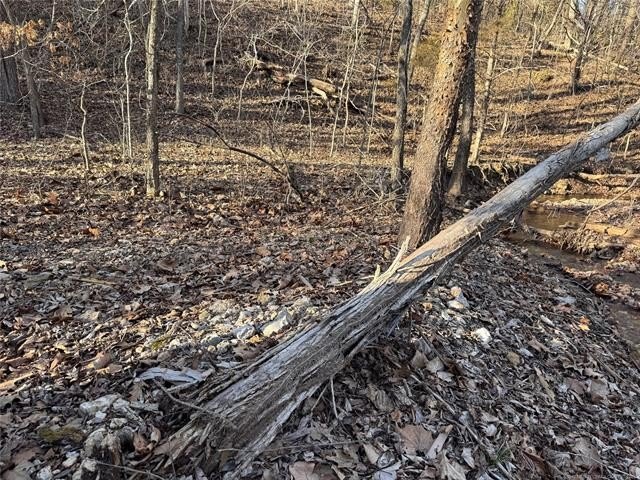 Picture 44