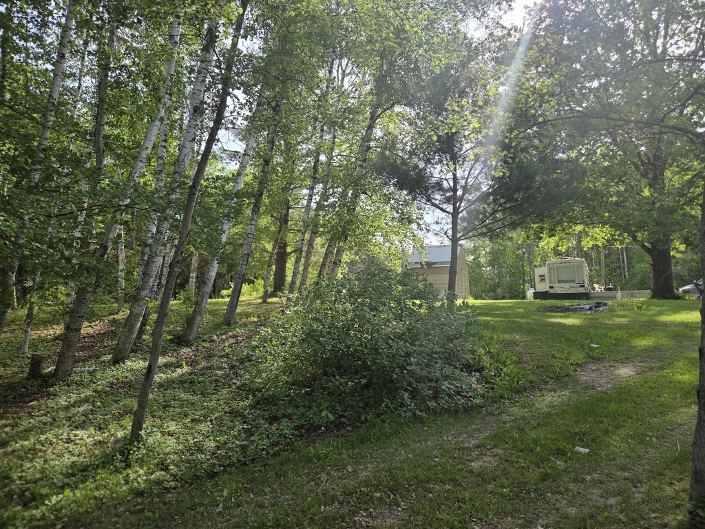 Picture 5