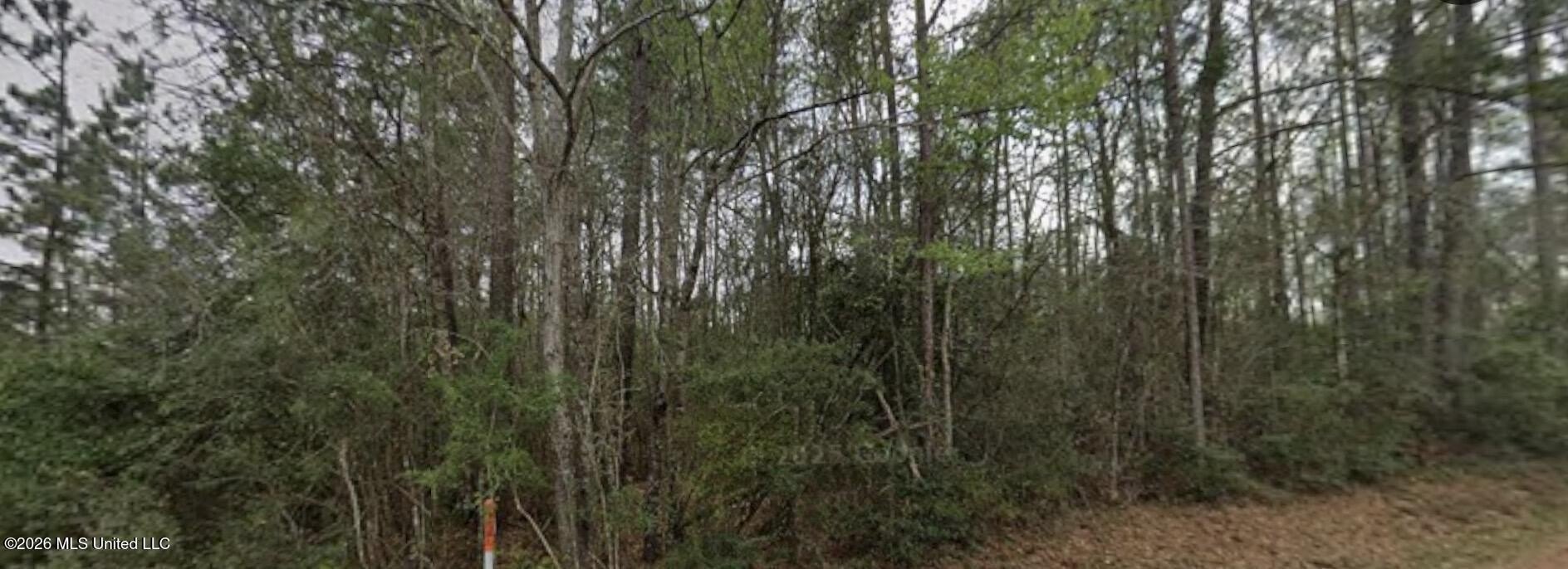 Forested Land in Lucedale, MS
