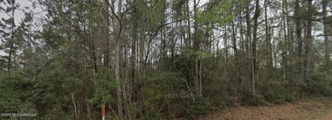 LAND - Lucedale, MS