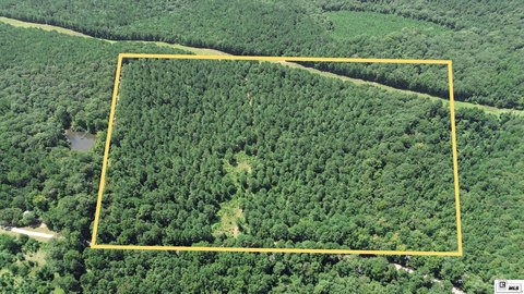 Mature Timber Hunting Tract