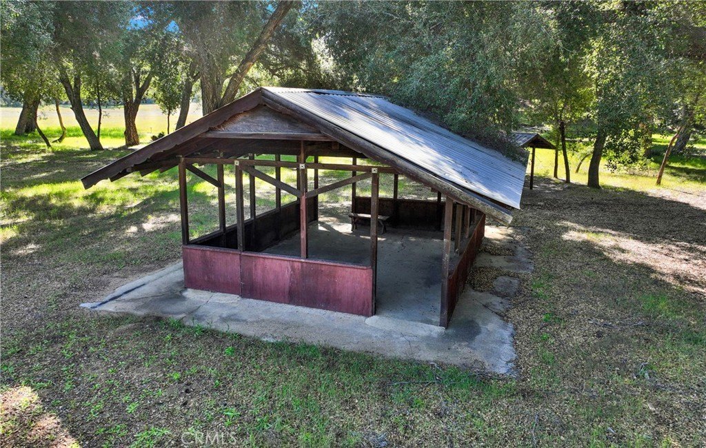 Picture 19
