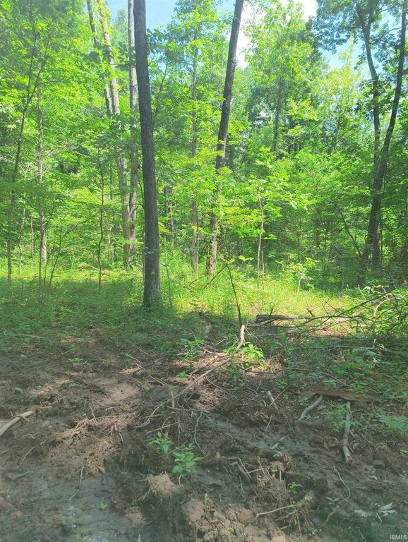 Picture 4