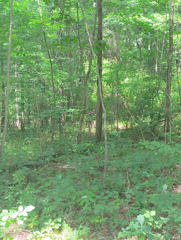 Picture 10