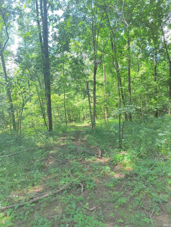 Picture 9