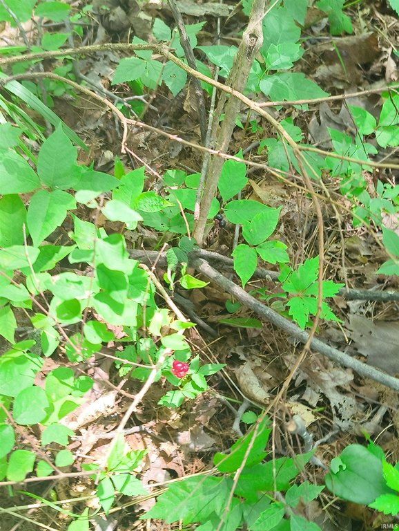Picture 13