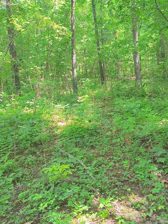 Picture 11