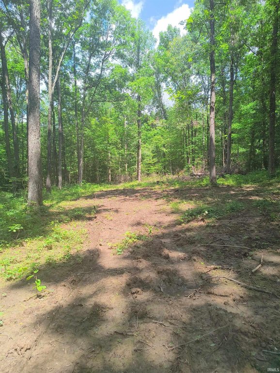 Picture 6