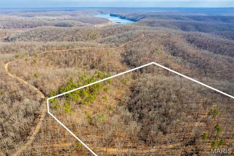 Secluded Timbered Hunting Tract