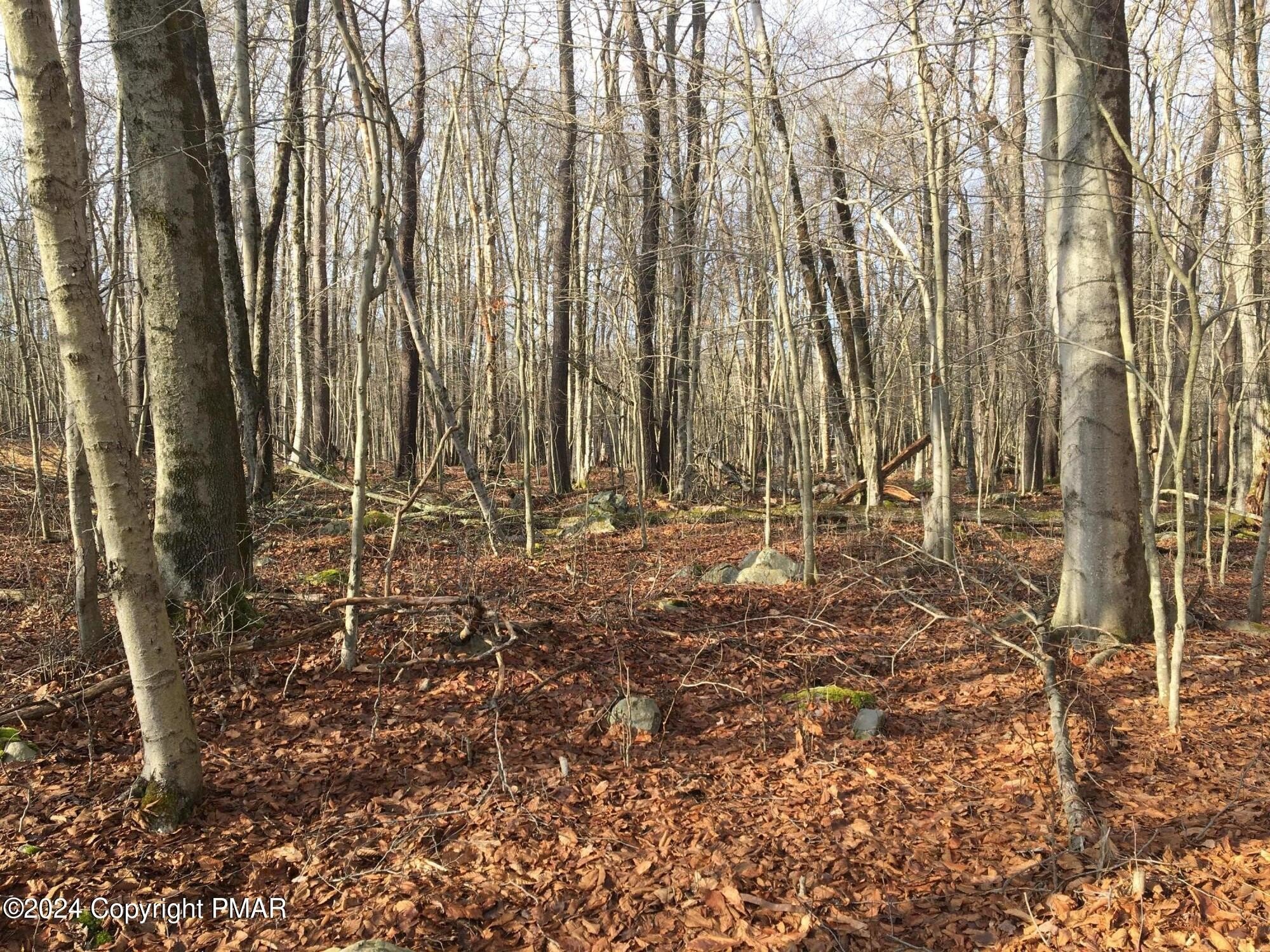Residential Land in Clifton Township
