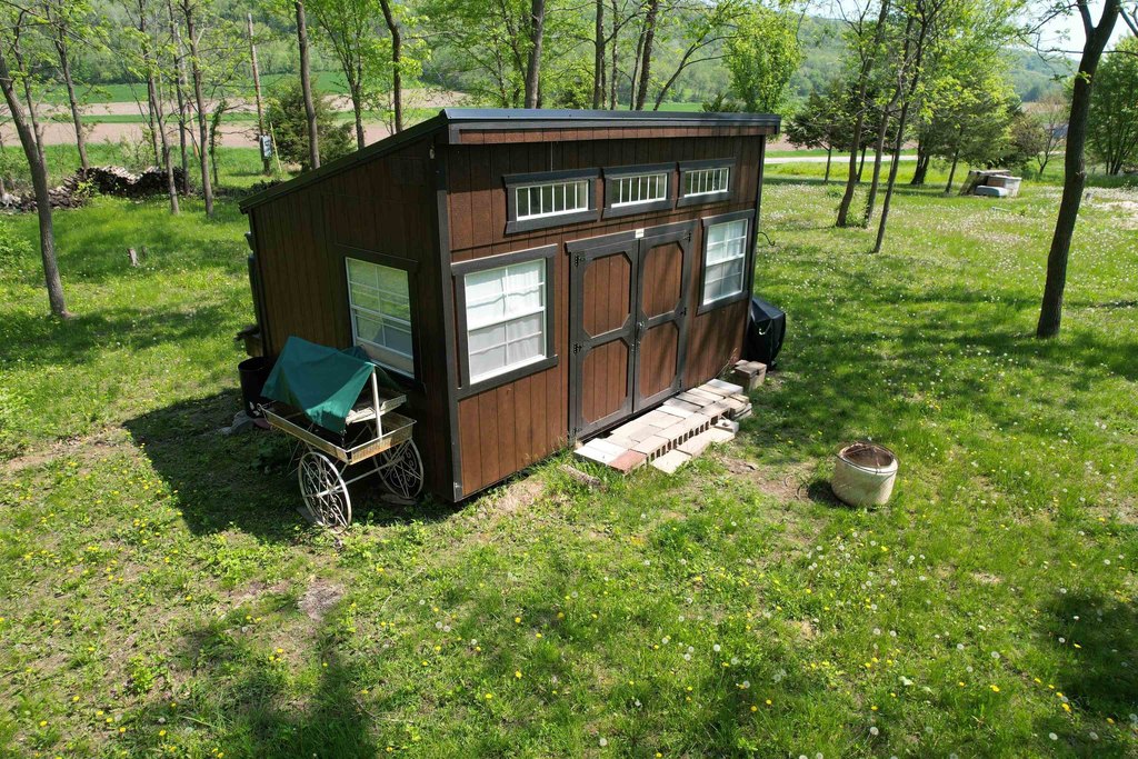 Picture 6