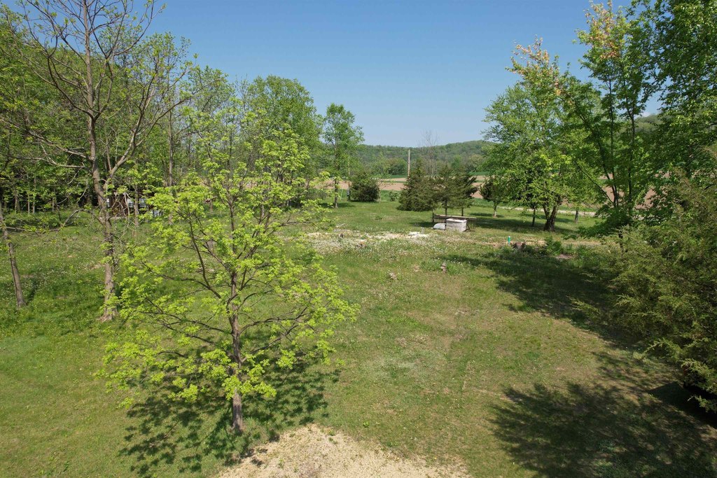 Picture 8