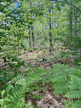 Flat Residential Land Lot