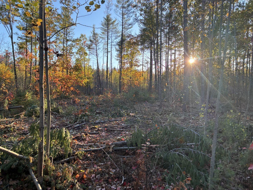 Farmington Land Ready For Building