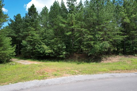 Residential Lot in Jasper Highlands