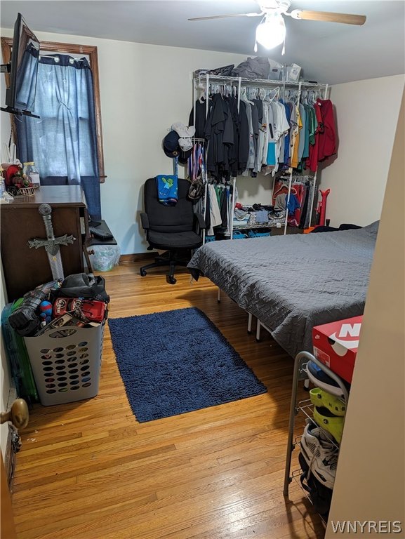 Picture 23