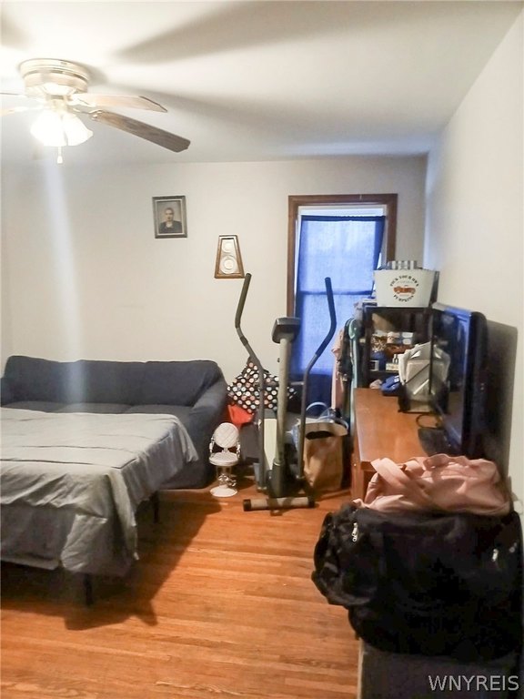 Picture 5