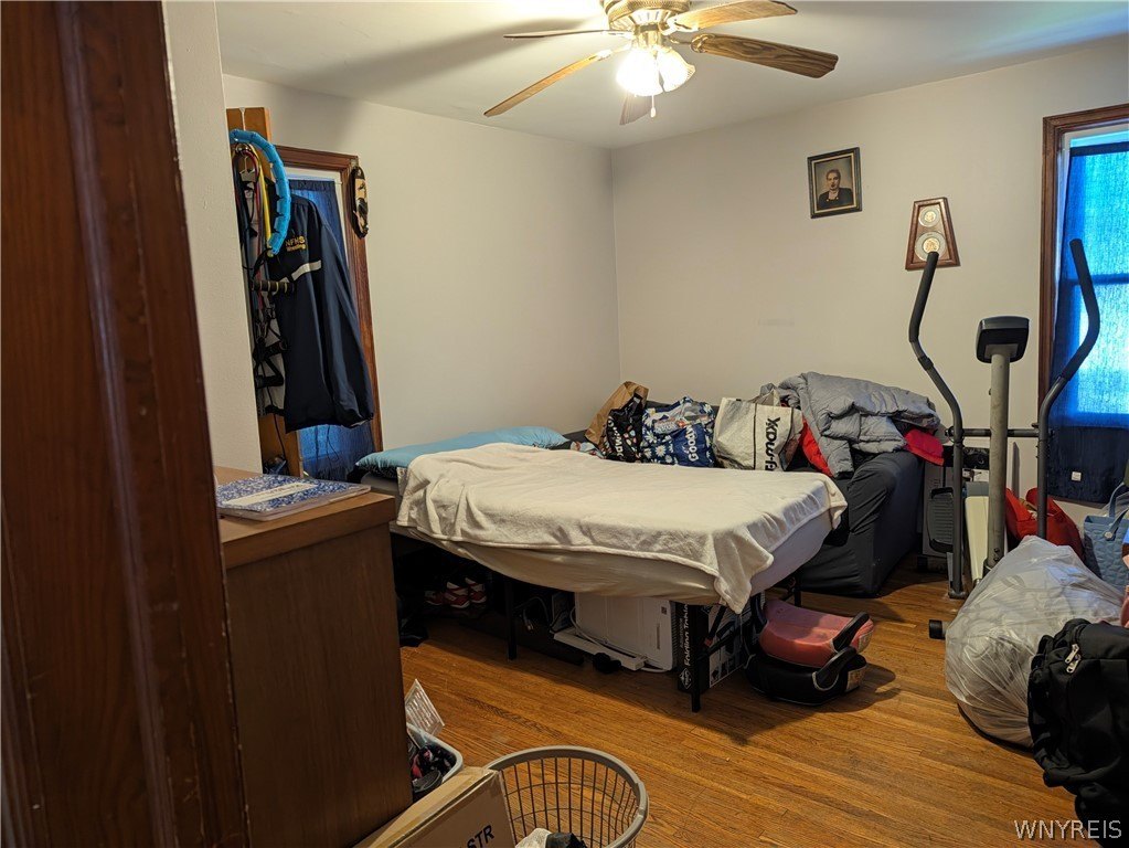 Picture 12