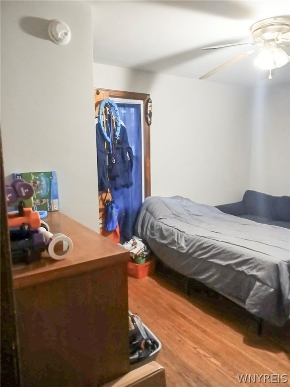 Picture 4