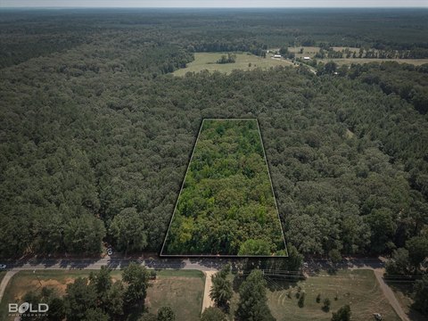 3.7 Acres in Oliver Hills