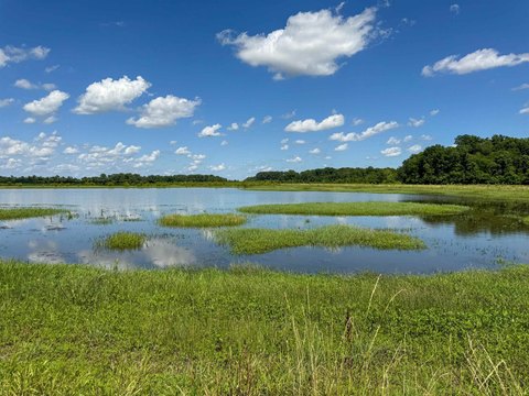 Arkansas Delta Waterfowl Tract