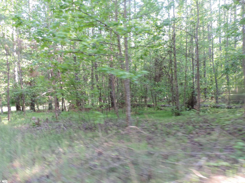 Picture 29