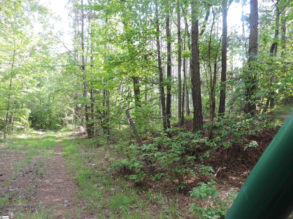 Picture 39