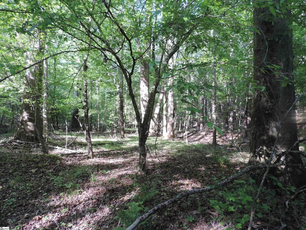 Picture 30
