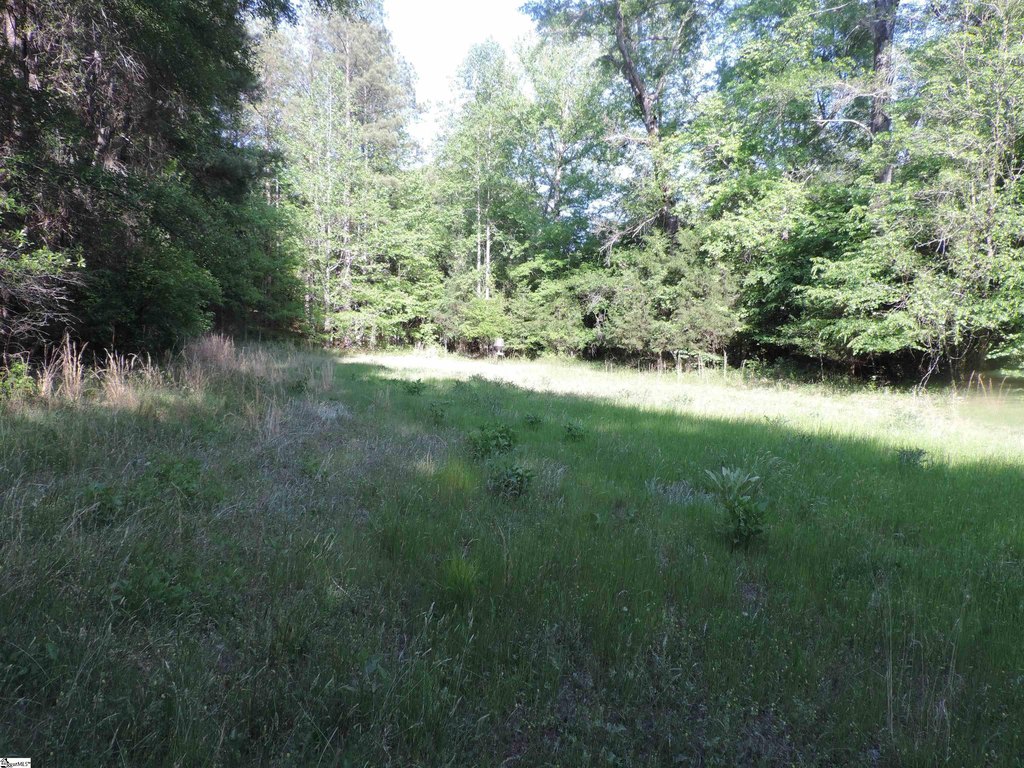 Picture 26