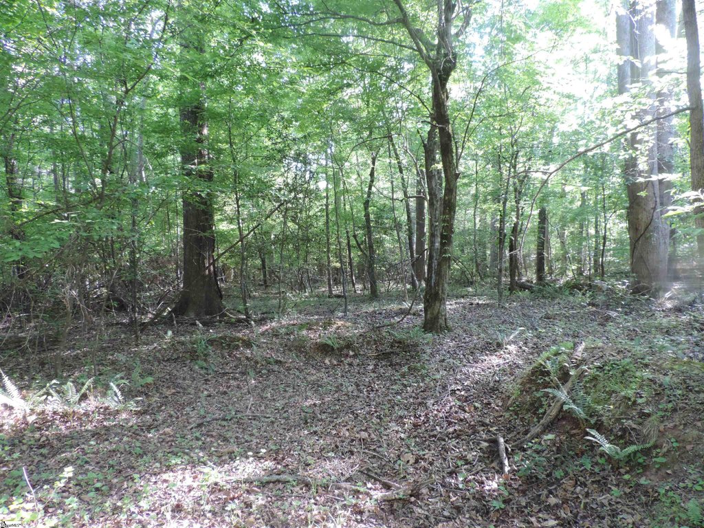Picture 31