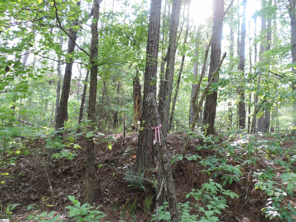 Picture 38