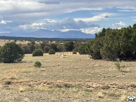 Land, Walsenburg, CO