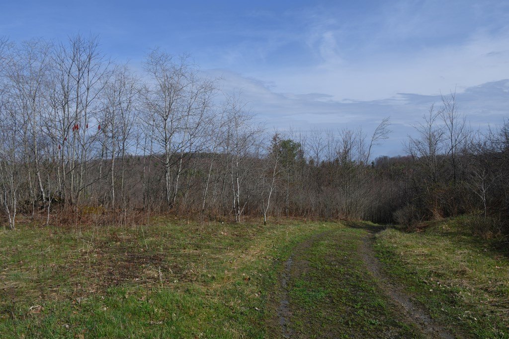 Picture 3