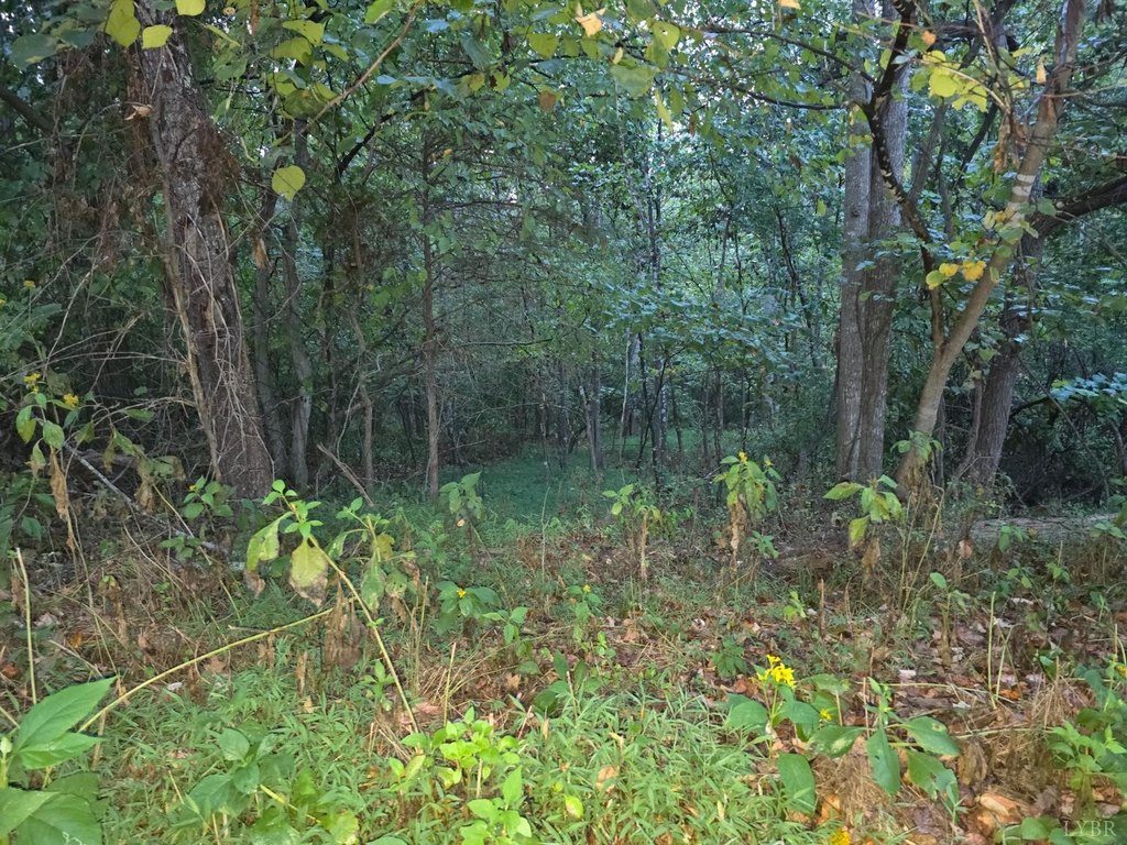 Picture 3