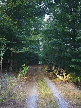 Land, Moneta, VA