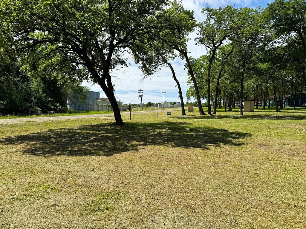 Picture 7