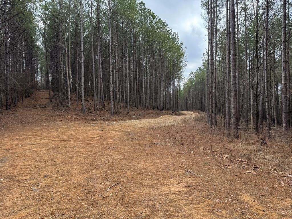 Picture 11